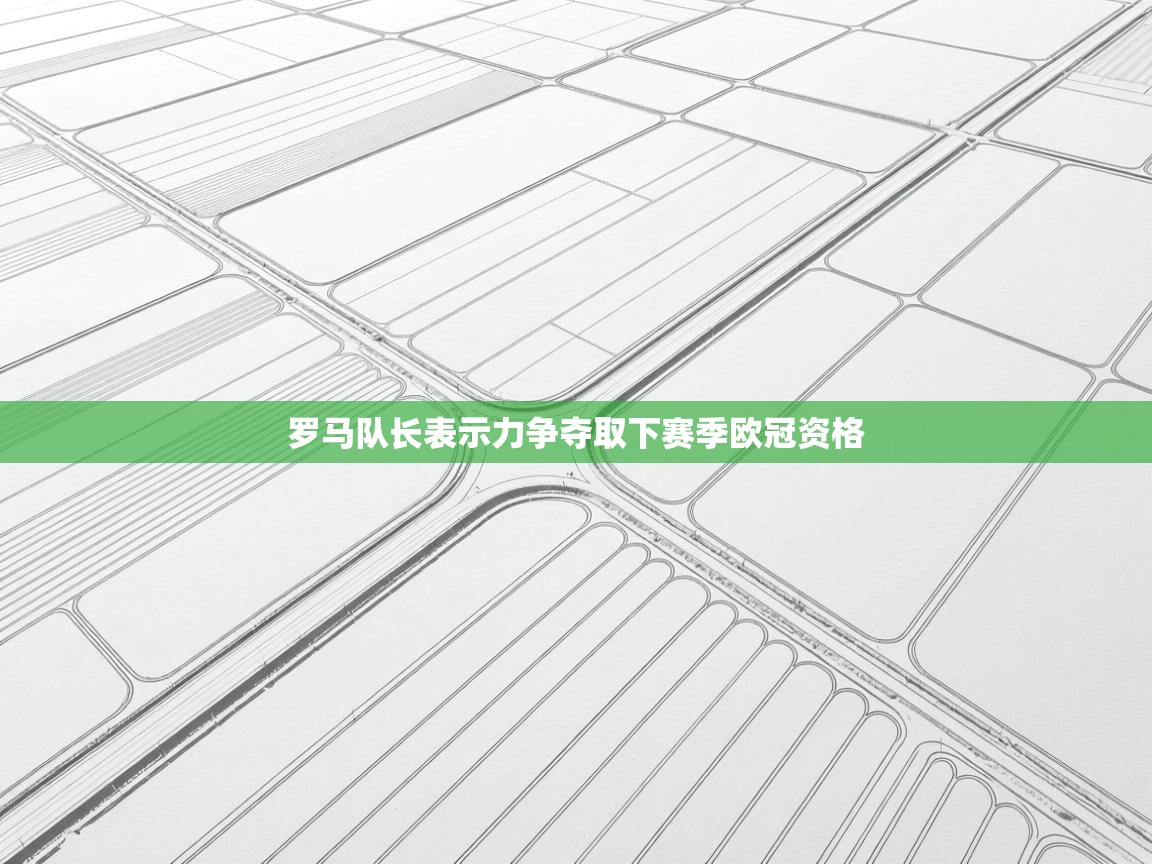 罗马队长表示力争夺取下赛季欧冠资格